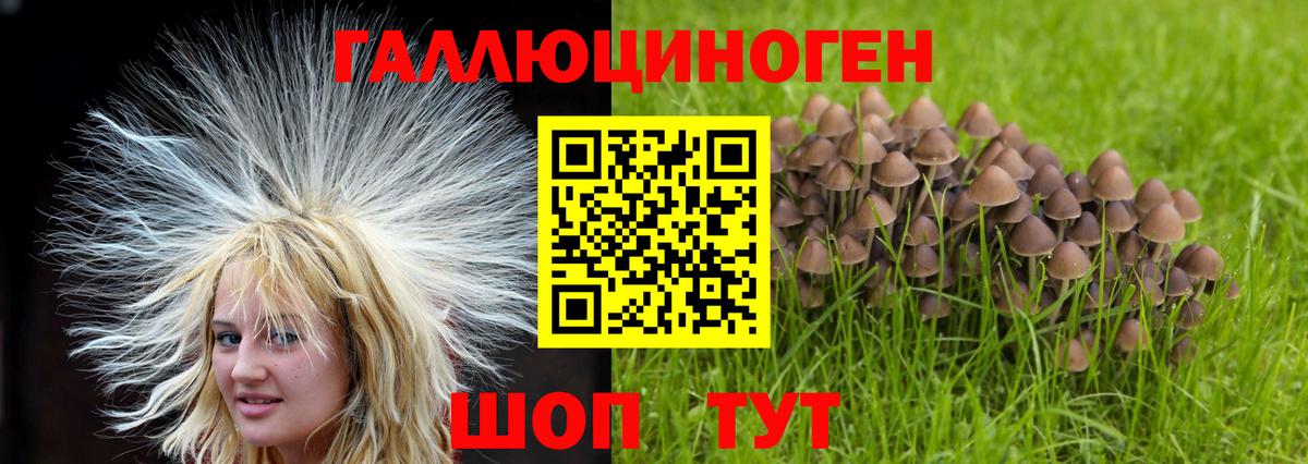 Звенигород  Галлюциногенные грибы GOLDEN TEACHER  наркота  Вход с VPN  Псилоцибиновые грибы GOLDEN TEACHER 